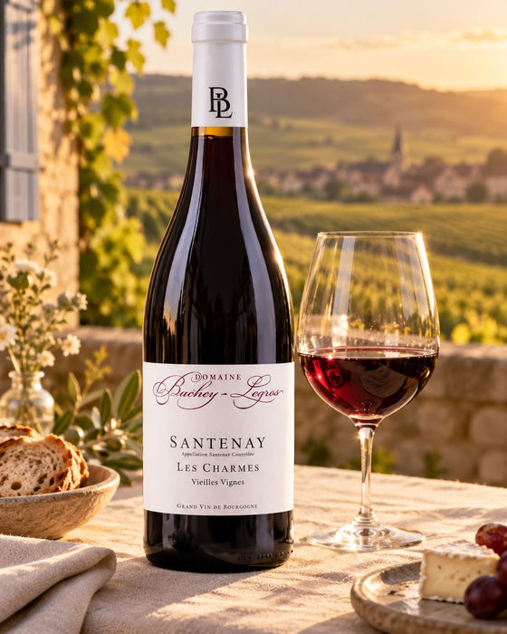 Santenay Les Charmes Vieilles Vignes 2022