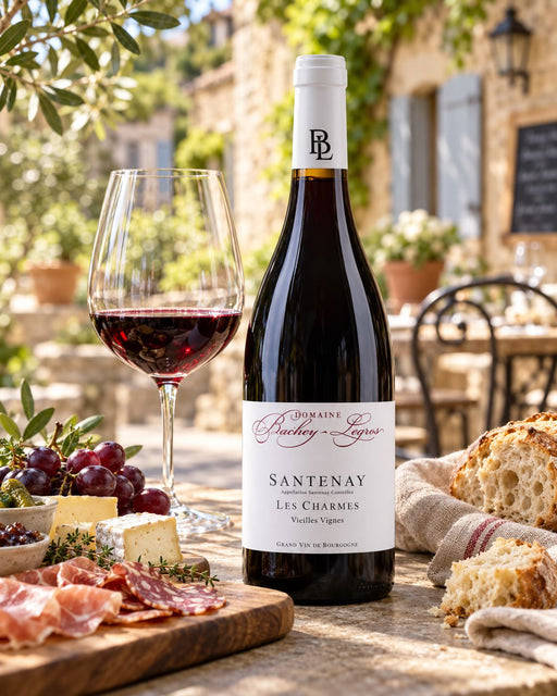 Santenay Les Charmes Vieilles Vignes 2022