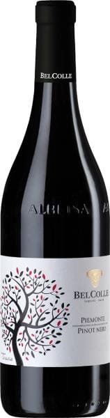 Pinot Nero Piemonte DOC 2024