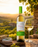 Sauvignon Blanc Organic 2024