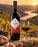 Fine Ruby Port 19%