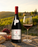 Pinot Noir 2024