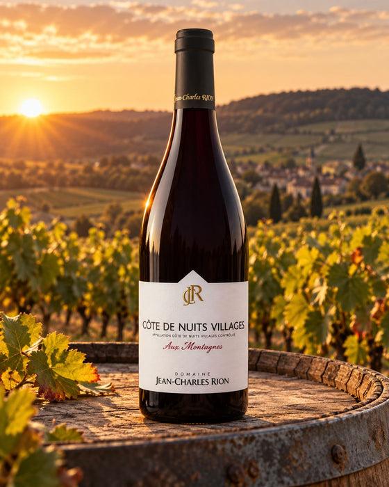 Côte de Nuits Villages Rouge 2023