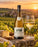 Meursault Santenots Premier Cru Blanc 2019