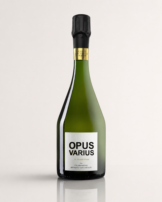Benoit Cocteaux OPUS VARIUS - "Le Versant Blanc"