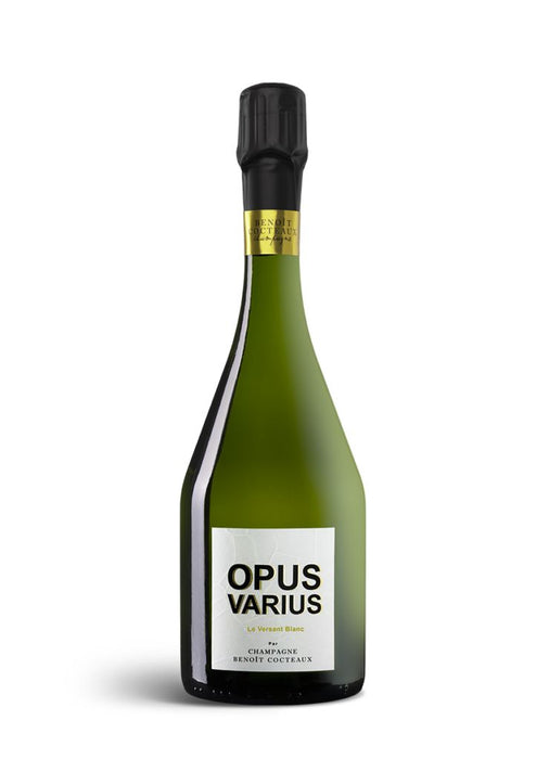 Benoit Cocteaux OPUS VARIUS - "Le Versant Blanc"