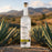 Mezcal Palomo Espadin 46%