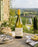 Chardonnay 2025