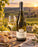 Bourgogne Meursault 2023