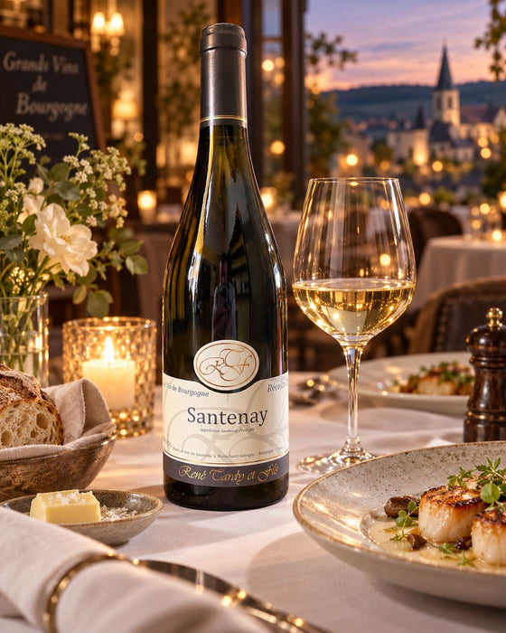 Bourgogne Santenay Blanc 2022
