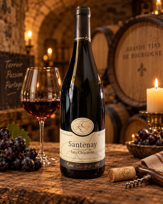Santenay Les Charmes 2022