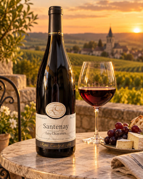 Santenay Les Charmes 2022