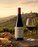 Talenti Rosso Toscano 2024
