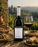 Ugolini Monte Solane Ripasso 2017