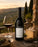 Ugolini Valle Alta Amarone Della Valpolicella 2015